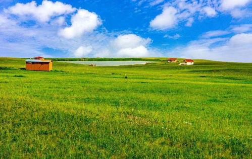 青草原国产,探寻神秘草原帝国的历史足迹 第2张 青草原国产,探寻神秘草原帝国的历史足迹 第2张